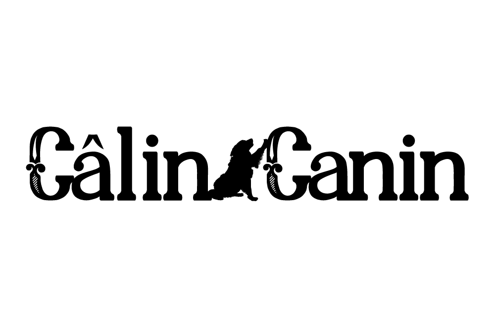 Câlin Canin